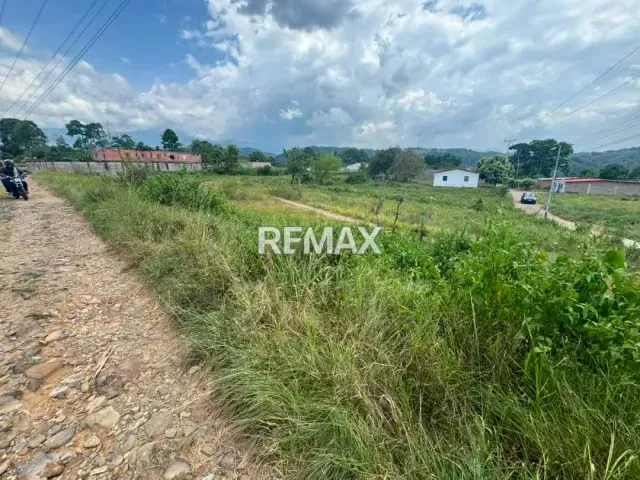 Se vende 2 Parcelas en el Sector el Socorro, La Fría. - 2