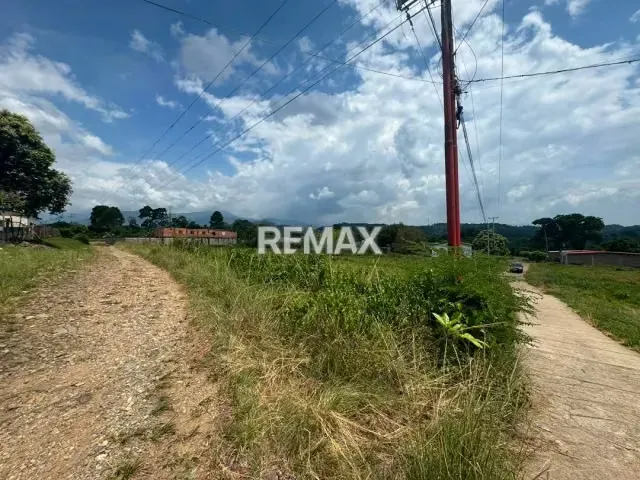 Se vende 2 Parcelas en el Sector el Socorro, La Fría. - 3