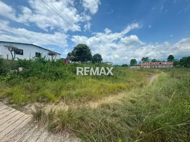Se vende 2 Parcelas en el Sector el Socorro, La Fría. - 4