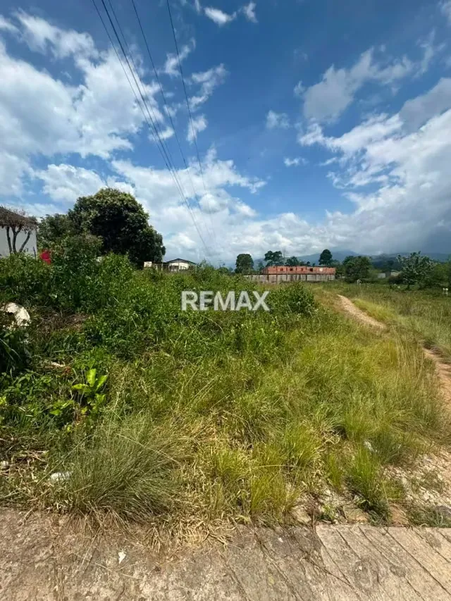 Se vende 2 Parcelas en el Sector el Socorro, La Fría. - 6