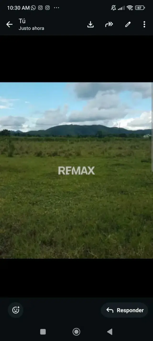 SE VENDE TERRENO EN PREGONERO