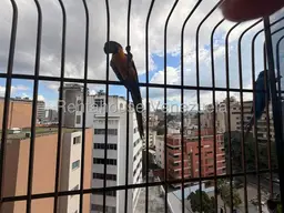 View 40