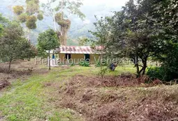View 1