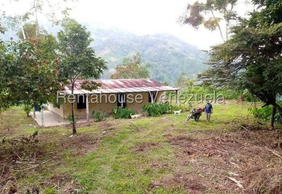 Terreno (Finca) en Venta en Virgen de La Paz, Trujillo - 2