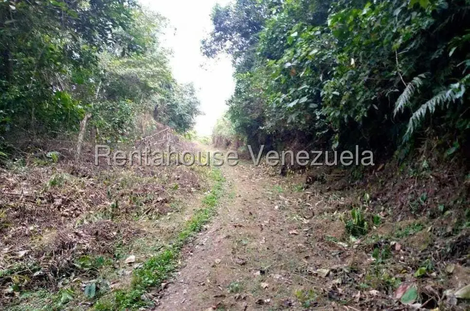 Terreno (Finca) en Venta en Virgen de La Paz, Trujillo - 6