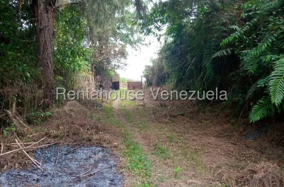 Terreno (Finca) en Venta en Virgen de La Paz, Trujillo - 7
