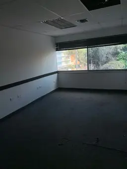 Vista 11
