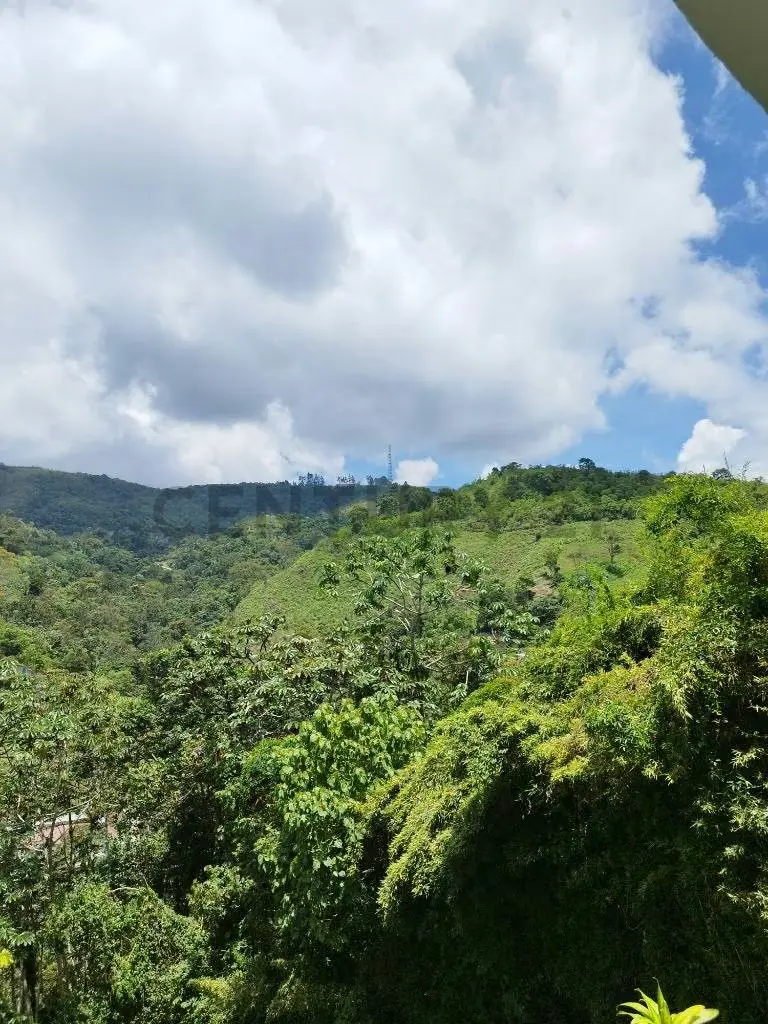 VENTA EXCLUSIVA CASA DE 3 NIVELES URB.CLUB DE CAMPO EN SAN ANTONIO DE LOS ALTOS - 23