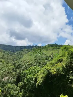 View 23