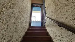 Vista 41
