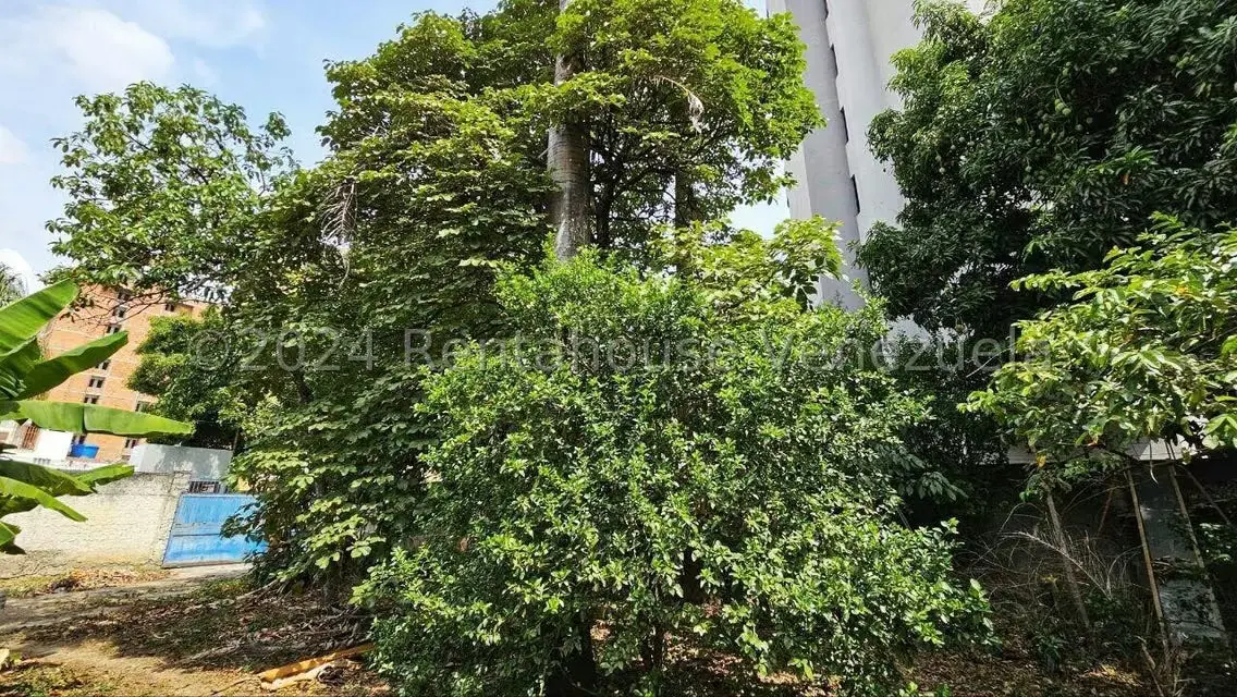 Casa (1 Nivel) en Venta en El Paraiso, Distrito Metropolitano - 44