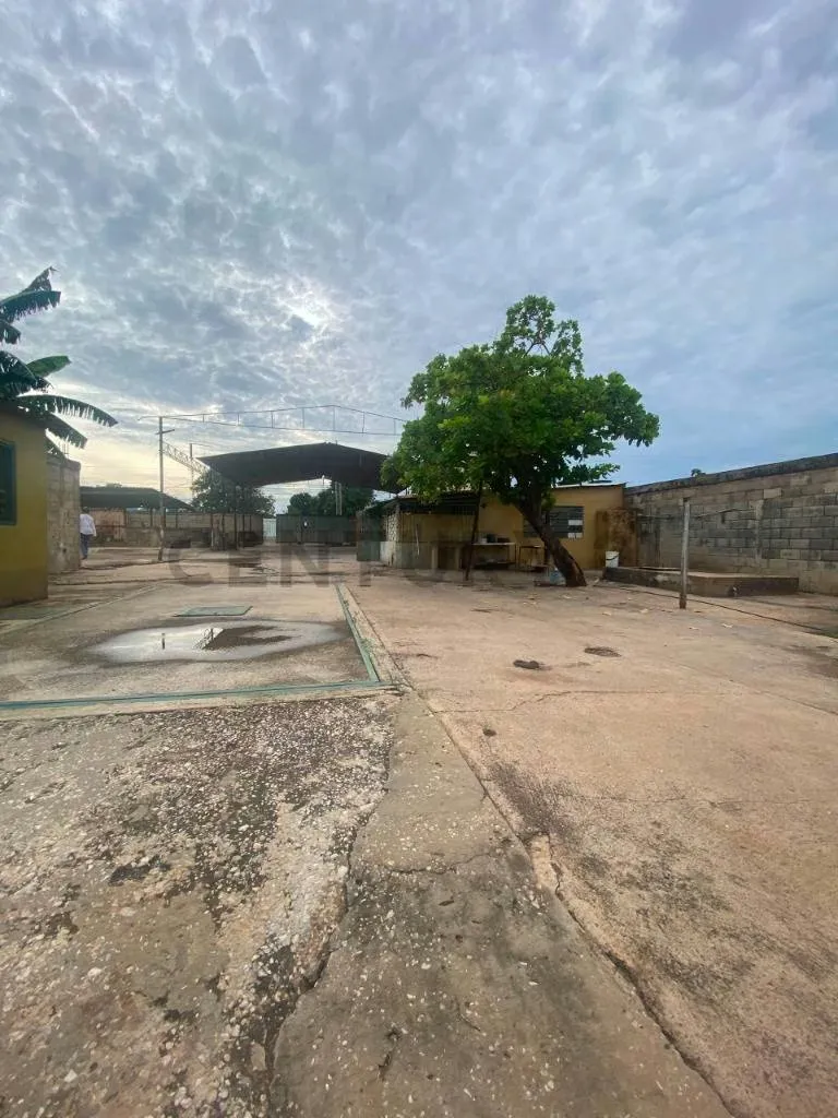 Se alquila terreno de 1200 m2 con galpon de 300 m2 en el Barrio Sur America - 3