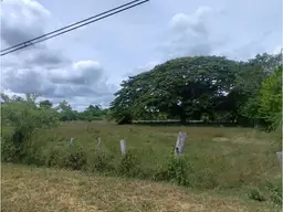 Vista 13