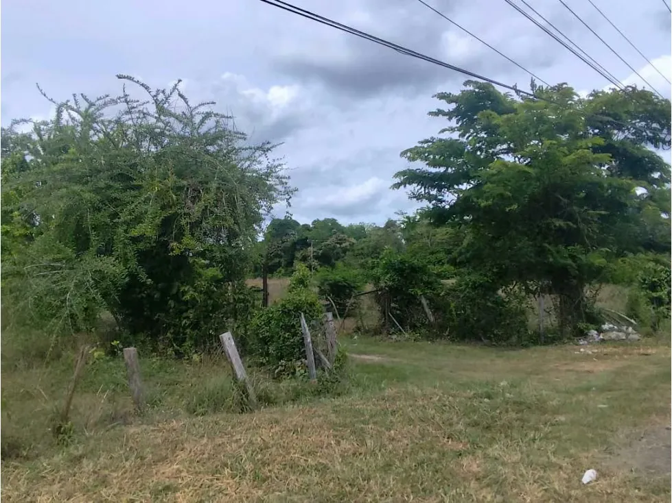 Se vende terreno 99.800m2 Higuerote 6783 - 15