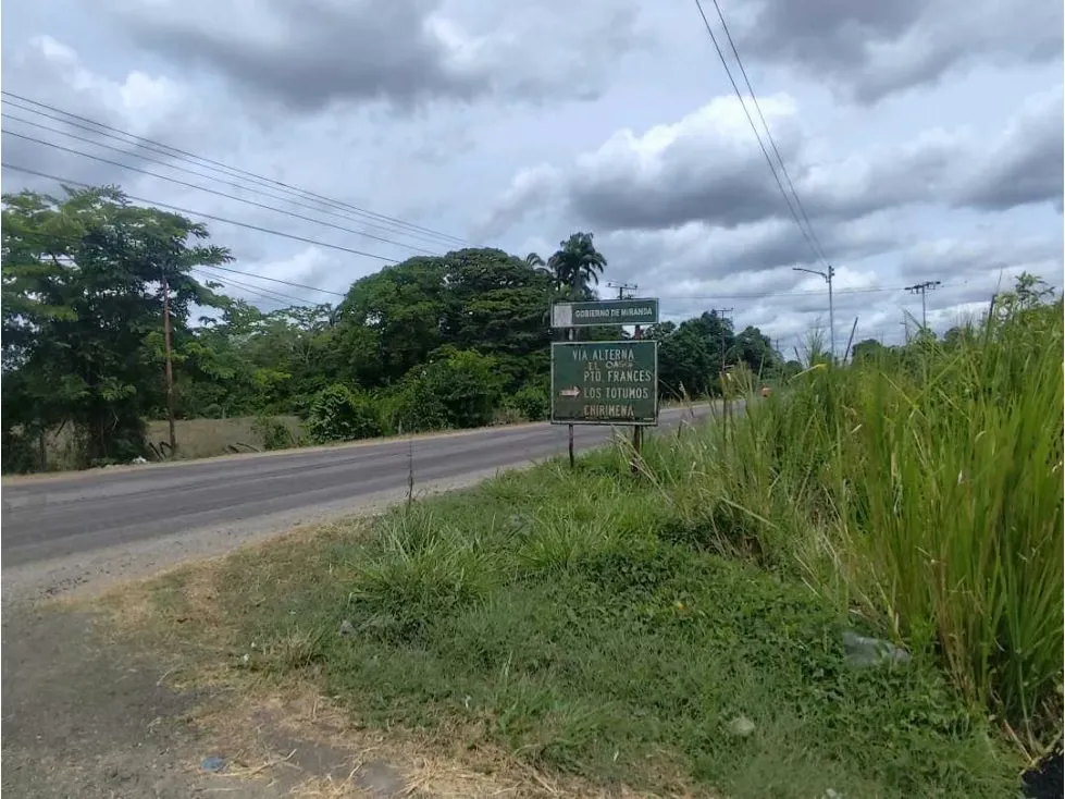 Se vende terreno 99.800m2 Higuerote 6783 - 16