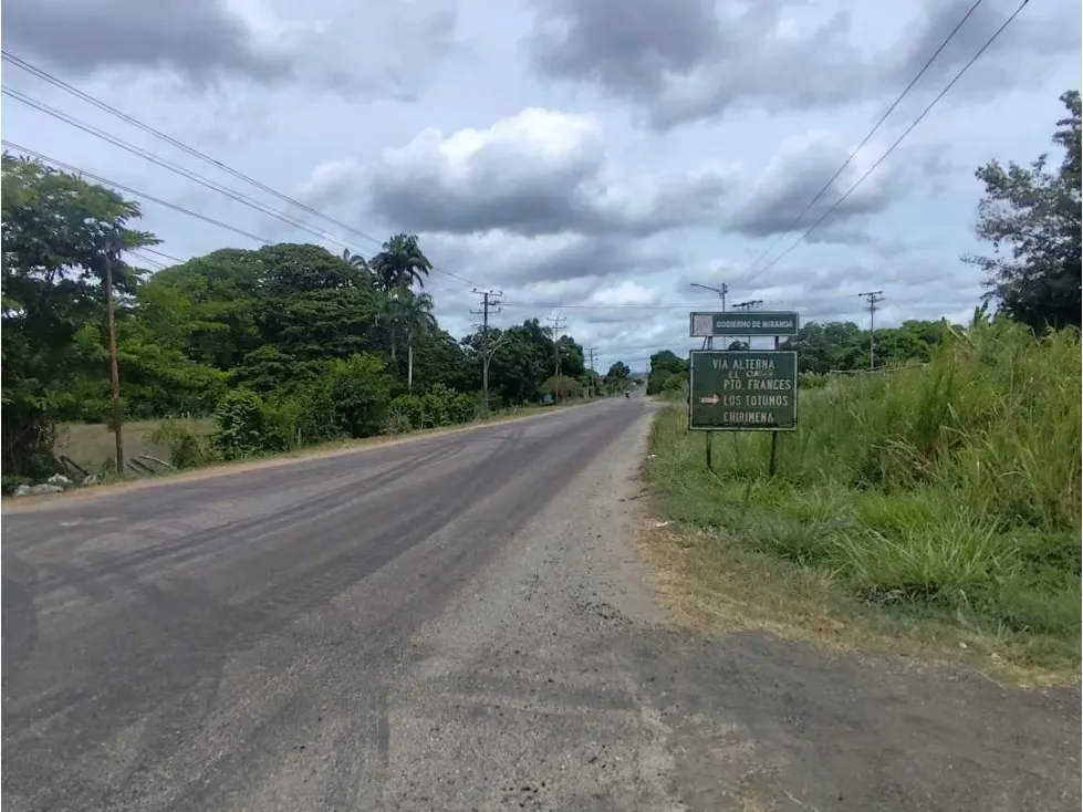 Se vende terreno 99.800m2 Higuerote 6783 - 21