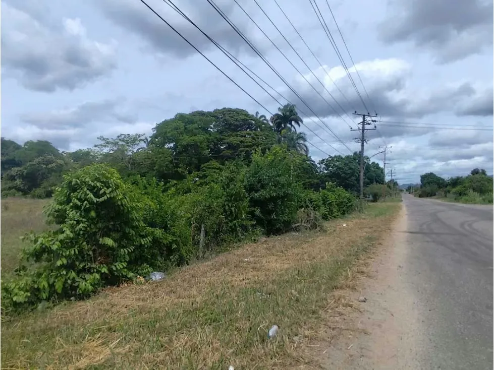 Se vende terreno 99.800m2 Higuerote 6783 - 24