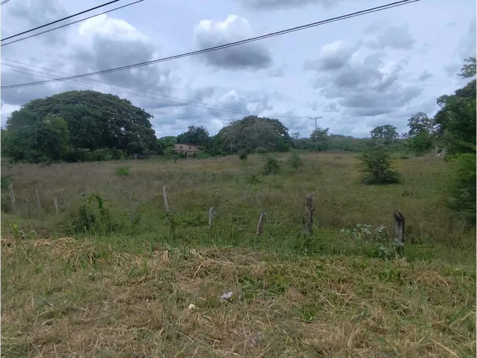 Se vende terreno 99.800m2 Higuerote 6783 - 25