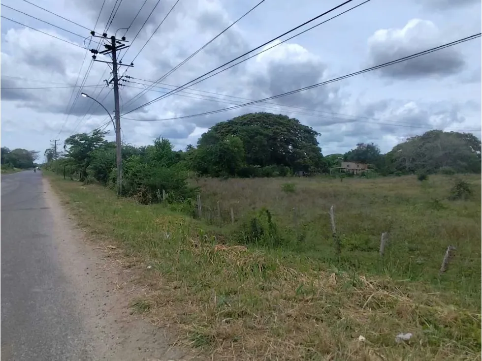 Se vende terreno 99.800m2 Higuerote 6783 - 27