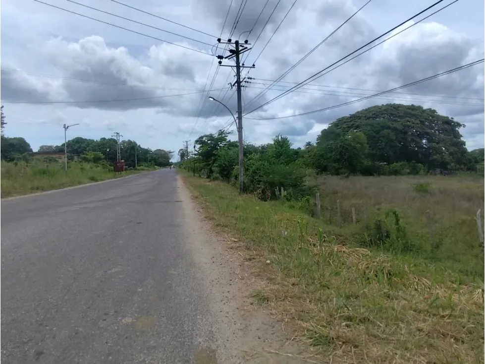 Se vende terreno 99.800m2 Higuerote 6783 - 29