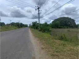 Vista 29