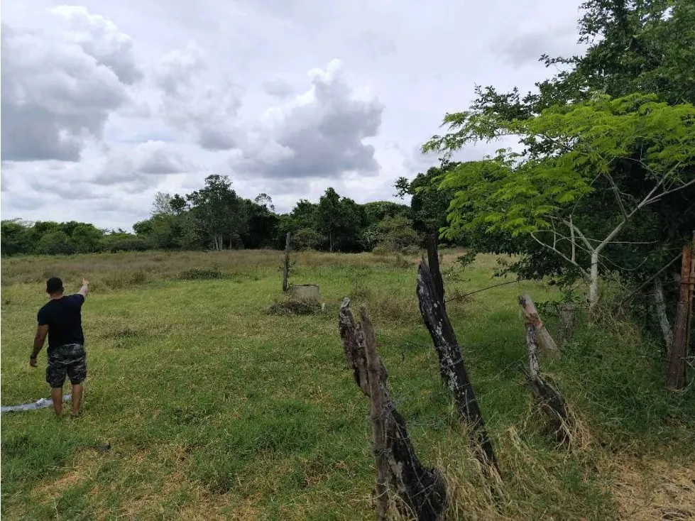 Se vende terreno 99.800m2 Higuerote 6783 - 36