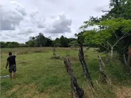 Vista 36