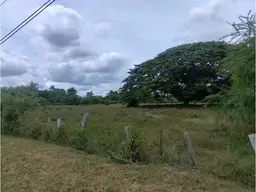 Vista 5