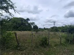 Vista 6