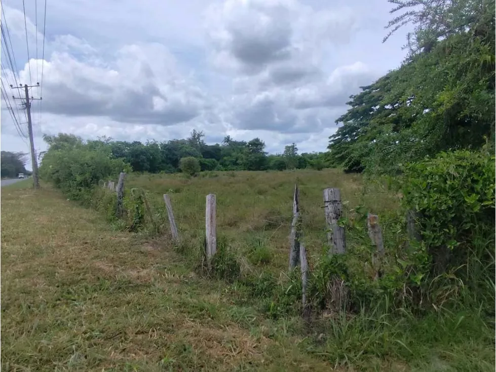 Se vende terreno 99.800m2 Higuerote 6783 - 7