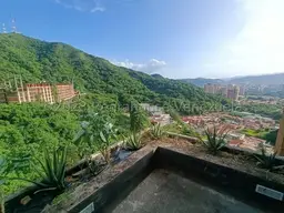 View 24