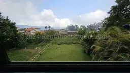 Vista 41