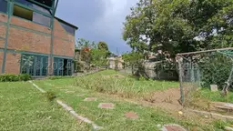 Vista 65