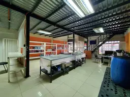 Vista 14