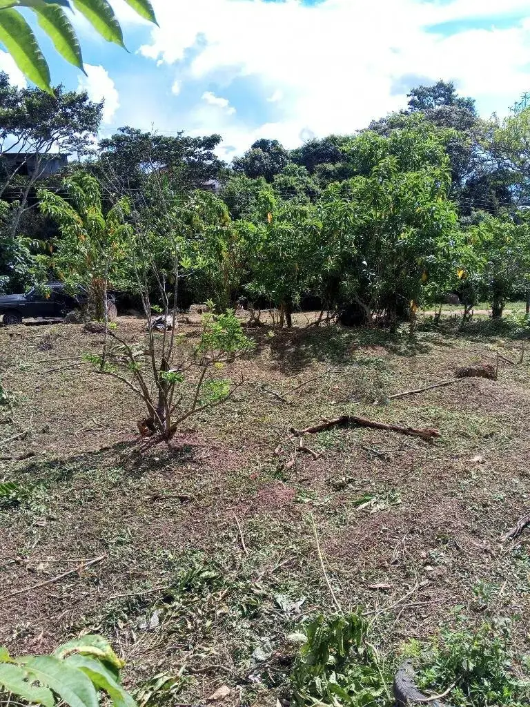 Terreno en venta