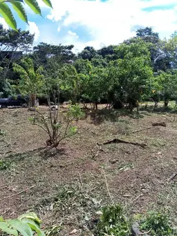 View 1