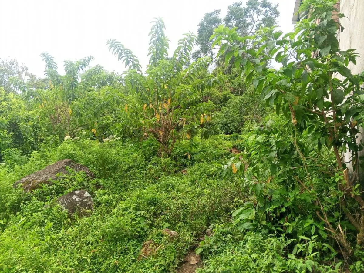 Terreno en venta - 2
