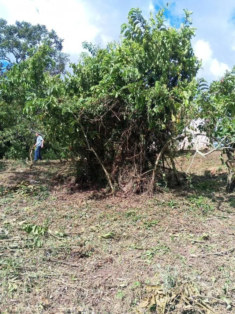 Terreno en venta - 4