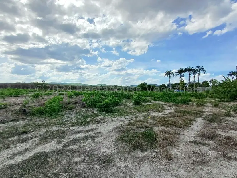 Terreno (Finca) en Venta en Municipio Peña, Yaracuy