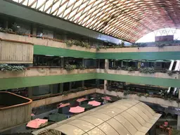 Vista 9