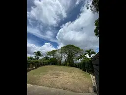 Vista 4