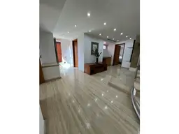 Vista 19