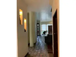 Vista 5