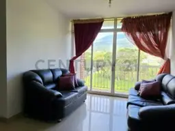 View 5