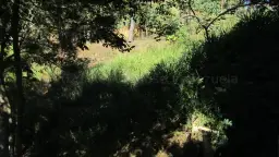 Vista 11