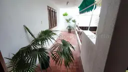 Vista 36