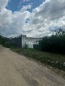 Vista 4
