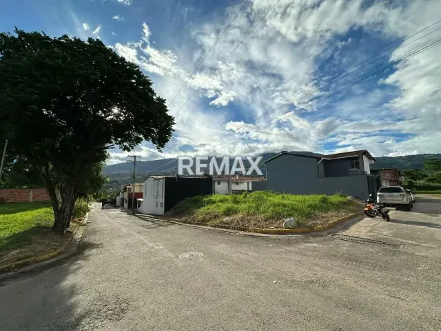 Terreno. Venta. Arjona - 3
