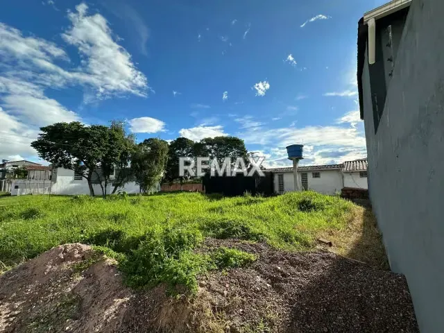 Terreno. Venta. Arjona - 7