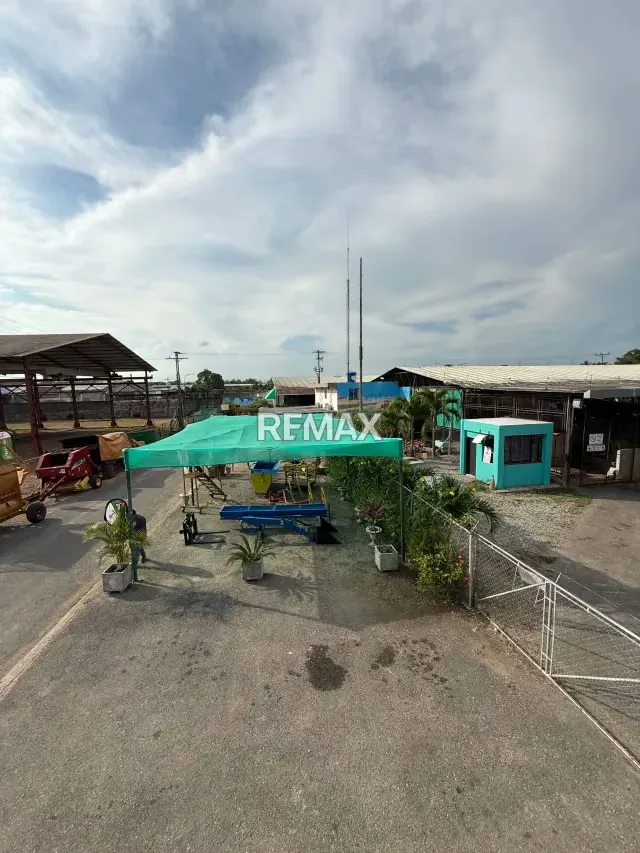 Se alquila Local en Avenida Alirio Ugarte Pelayo - 12